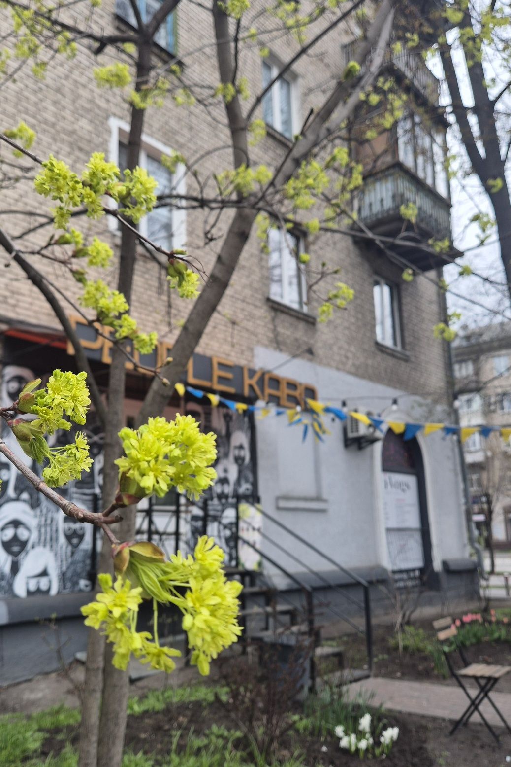 Продаж приміщення під кафе, кав"ярню, 42м. Фасадна сталінка, М.Дарниця