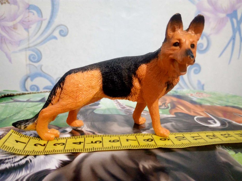 Тварини Овчарка,Гепард,Лев,Зебра,Верблюд,Горила,Жираф,Олень,Слон,Зебра