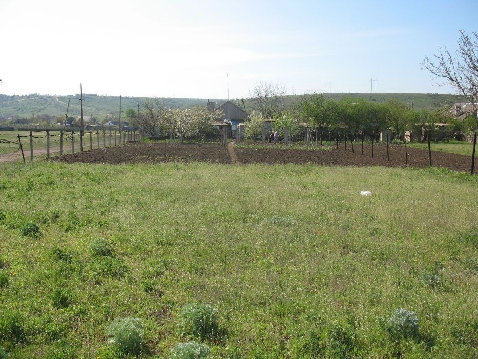 Продам дом в с.Палиево,