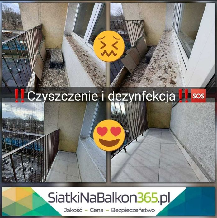 Sprzątanie i dezynfekcja balkonu, zabezpieczenia przeciw ptakom