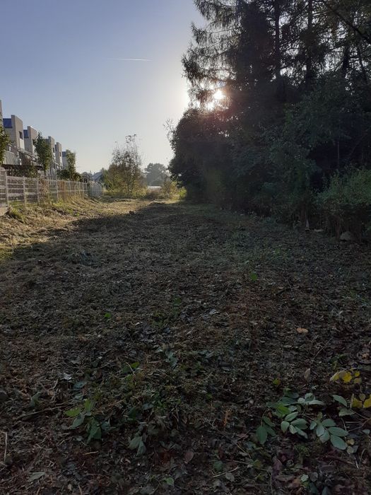 Koszenie, wycinka drzew, czyszczenie działek, pielęgnacja ogrodu