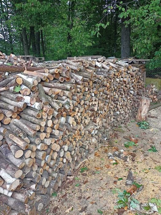 Drewno opałowe i kominkowe Dąb Grab Leszczyna Brzoza Sosna Świerk