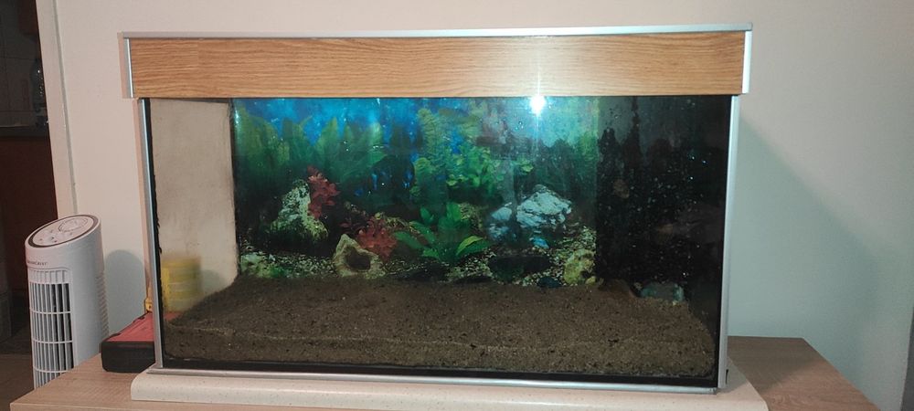 Oddam akwarium 112l czytaj opis rezerwacja