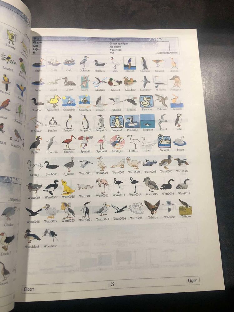 Podręcznik oprogramowania do grafiki wektorowej Corel