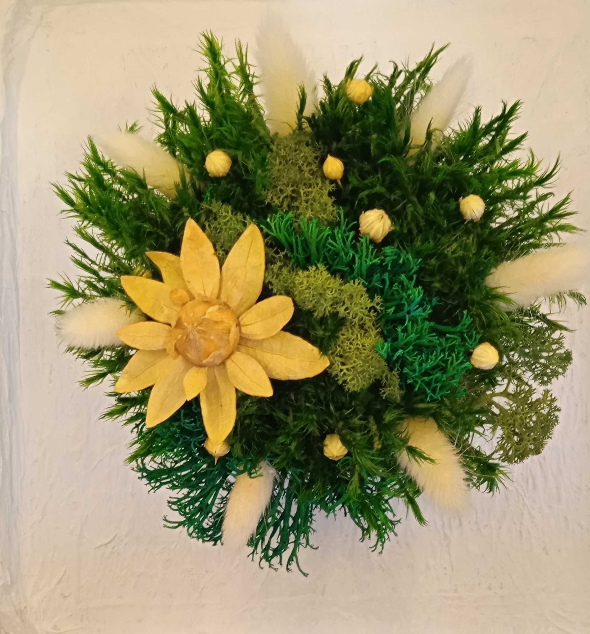 Dekoracja kwiatowa - mech w  doniczce, piękny prezent