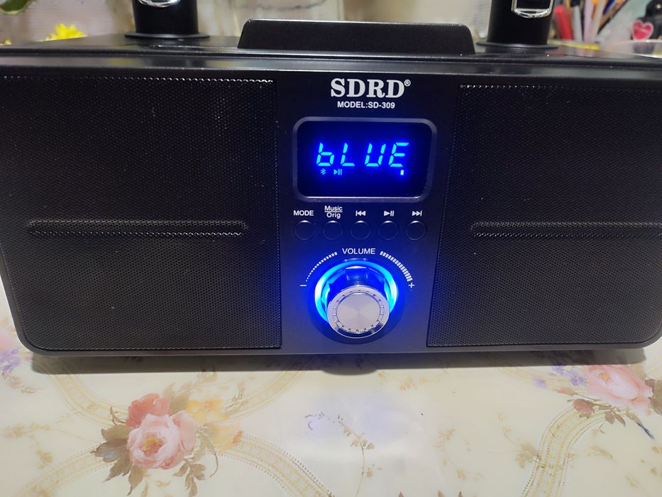 Беспроводная Караоке Система с Двумя Микрофонами