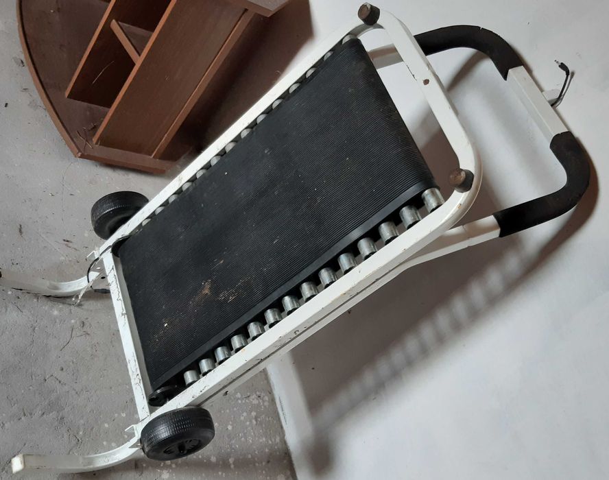 bieznia dla sportowcow seniorow i zwierzakow