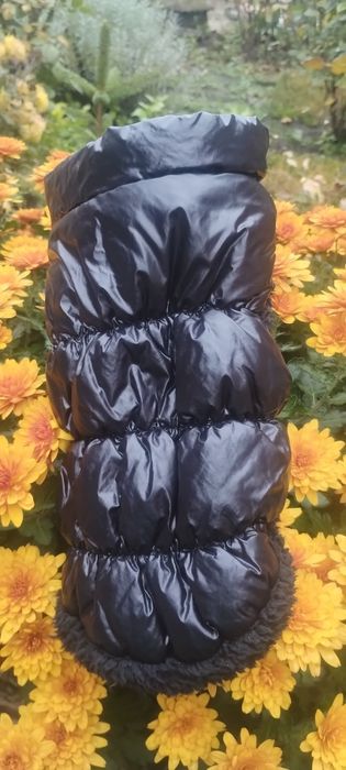 Жилет для собаки