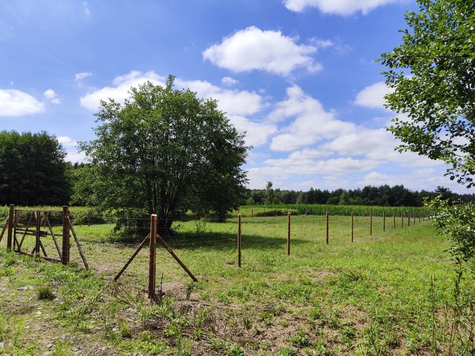 Działka budowlana przy lesie Złotów