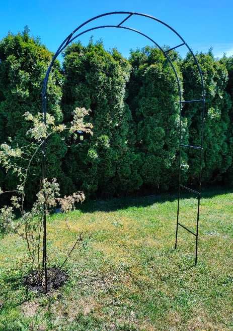 Pergola metalowa ogrodowa na róże kwiaty pnącza kwietnik 145cm x 235cm