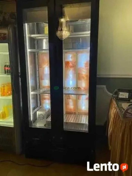 Szafa chłodnicza gastronomiczna