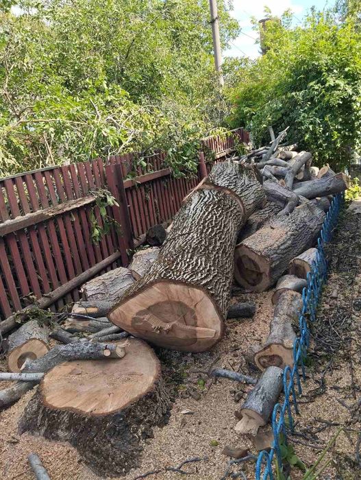 Продам спиляний горіх на дрова