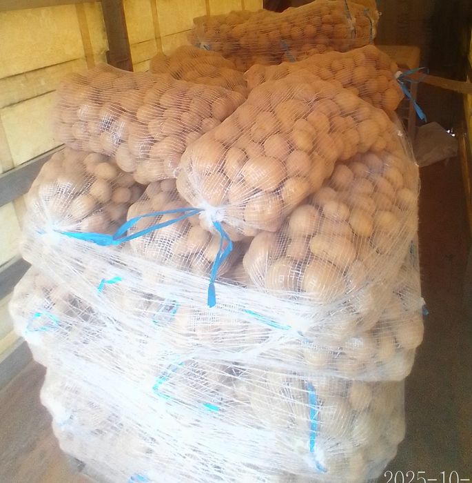 Batatas Picasso (Olho de Perdiz)