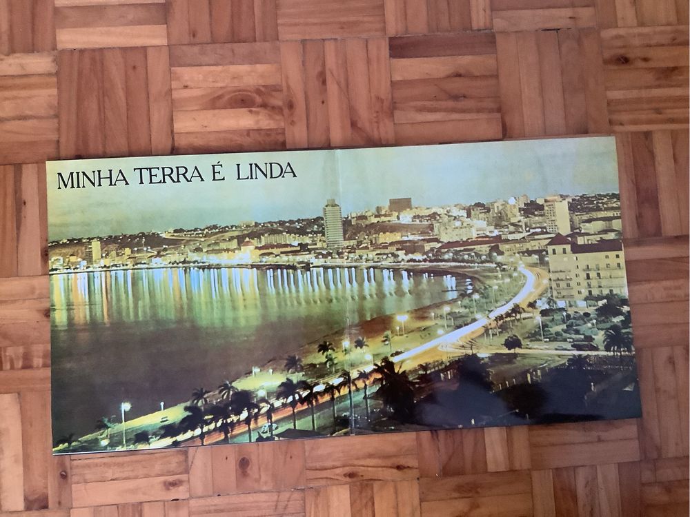 Vinil Duo Ouro Negro
