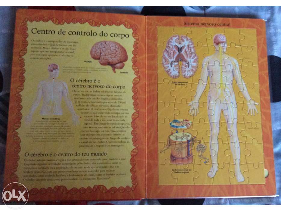 Livro - puzzle Corpo Humano