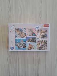 Puzzle Trefl 5+ kotki