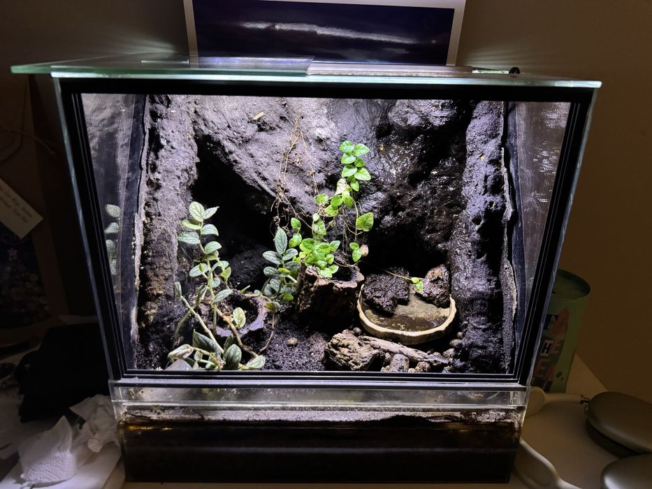 Terarium z wodospadem