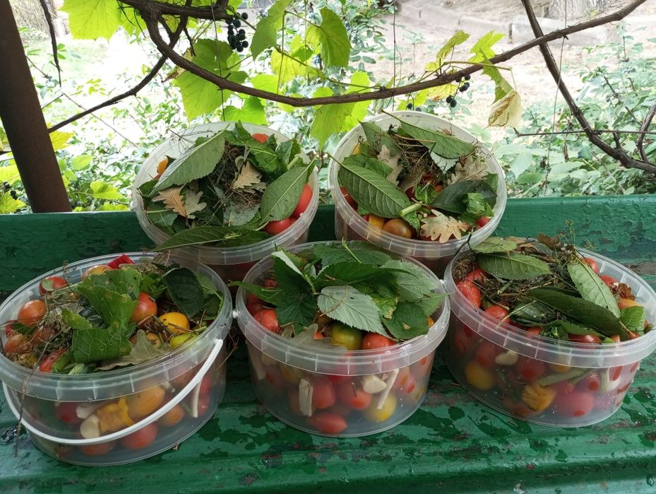 Помідори та огірки бочкові натурального бродіння.