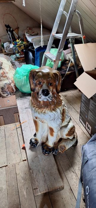 Pies ozdobny do ogrodu, duży