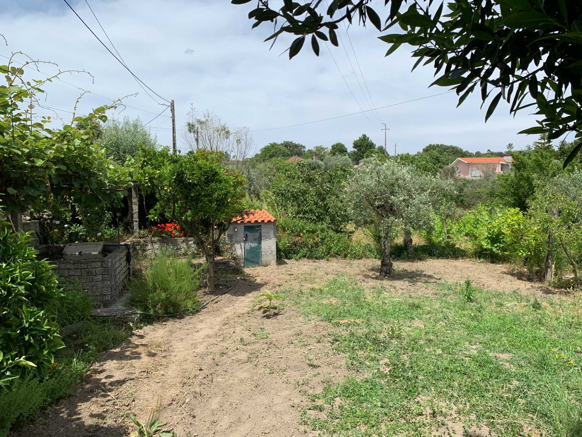 Terreno Particular com Viabilidade de construção em Mangualde