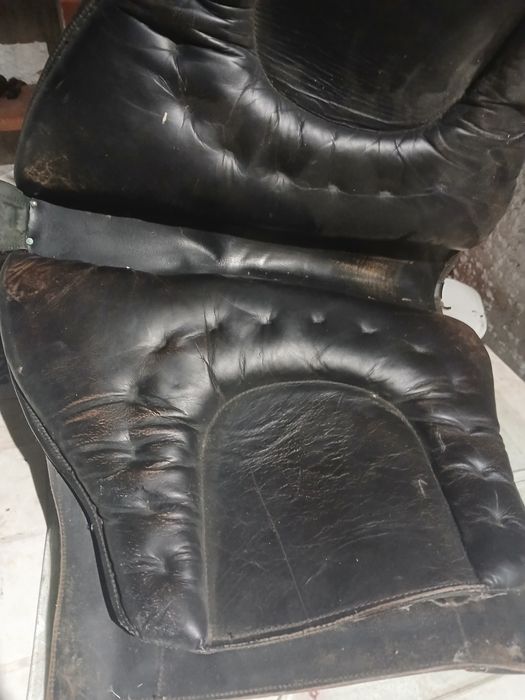 Sela  portuguesa  razoavel