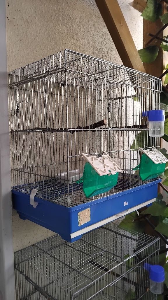 Gaiolas para aves