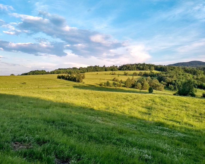 Drewniany domek z sauną 6 os Góry Karkonosze Wakacje