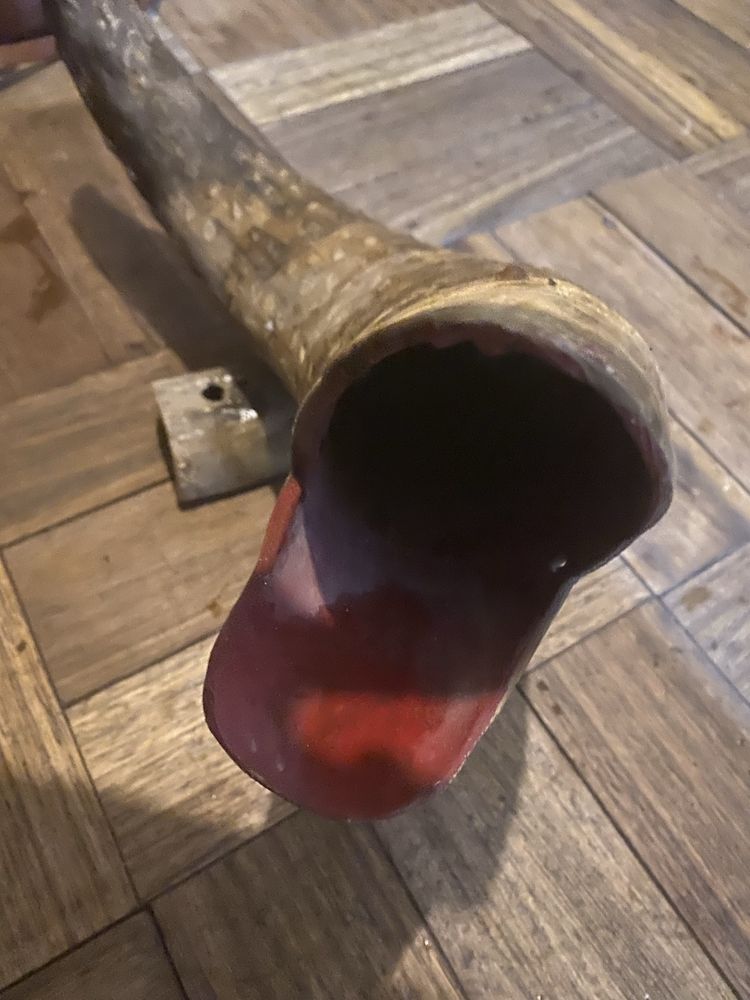 Chifre de animal em forma de peixe