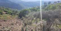 Terreno  para venda