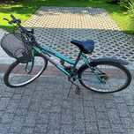 Rower damski z koszykiem
