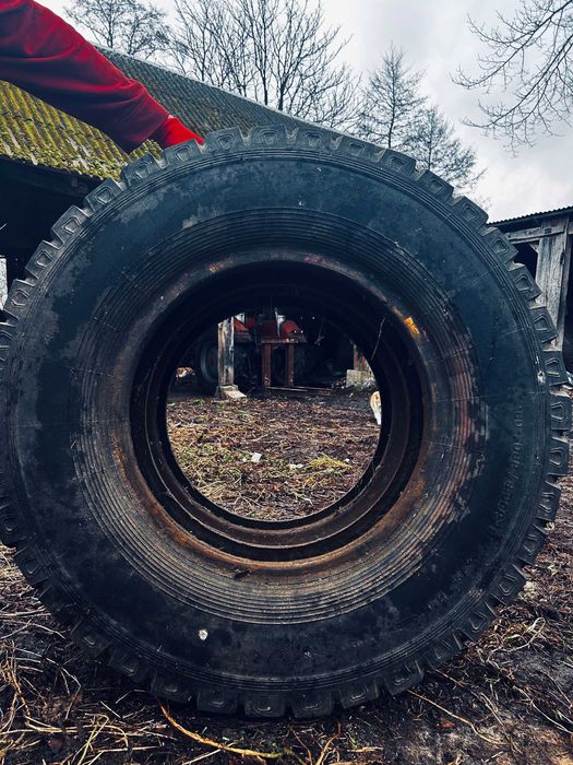 opona do przyczepy d 50