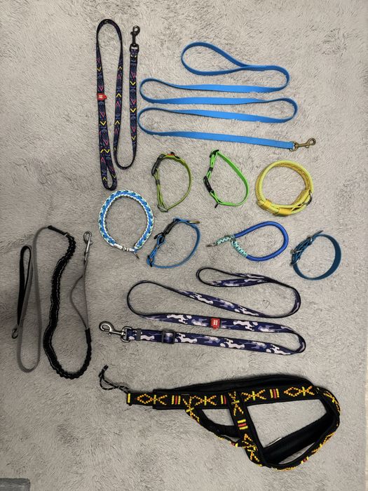 продам амуницию для собак