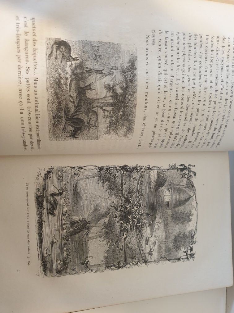 Precioso antigo Livro francês "le Paris des enfants"  de 1869