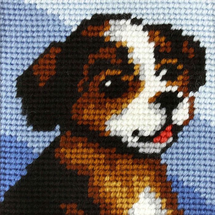 Zestaw do haftu Moje pierwsze wyszywanie Piesek. Anex-Bis PAP