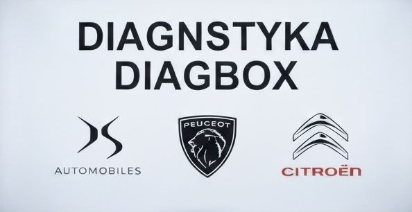 Diagnostyka komputerowa Diagbox/Lexia