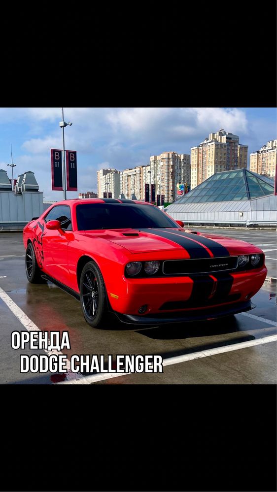 Оренда авто DODGE CHALLENGER / прокат авто Киев  / оренда авто Київ