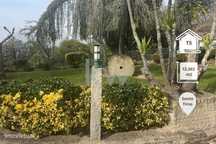 Quinta em Santo Tirso - Monte Córdova, Santo Tirso