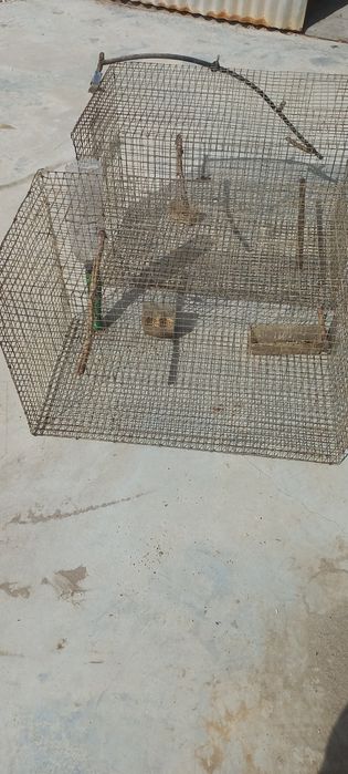 Gaiolas para venda ou troca