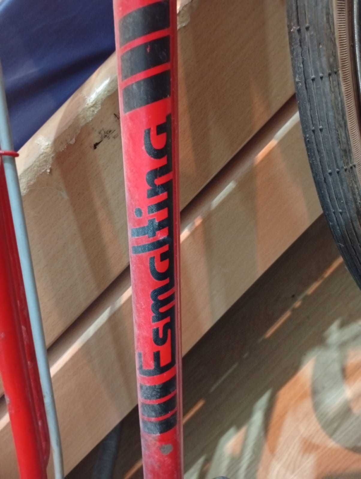 Bicicleta Esmaltina