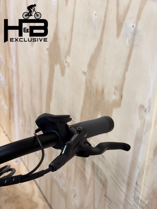 Flyer Gotour 6 5.41 R Shimano Nexus 2023