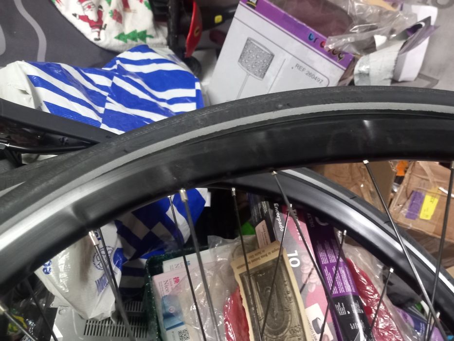 Bicicleta  elops.   ,