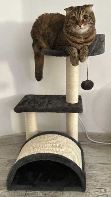 Wieża Legowisko Drapak Dla Kota Do Leżenia Domek 4 Poz. Tunel Zabawka