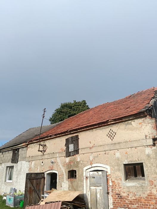 Odam za darmo dachówkę za jej demontaż