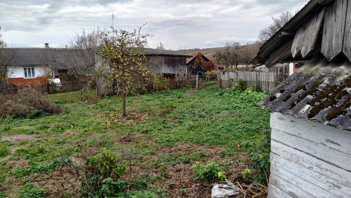 Будинок з присадибною ділянкою