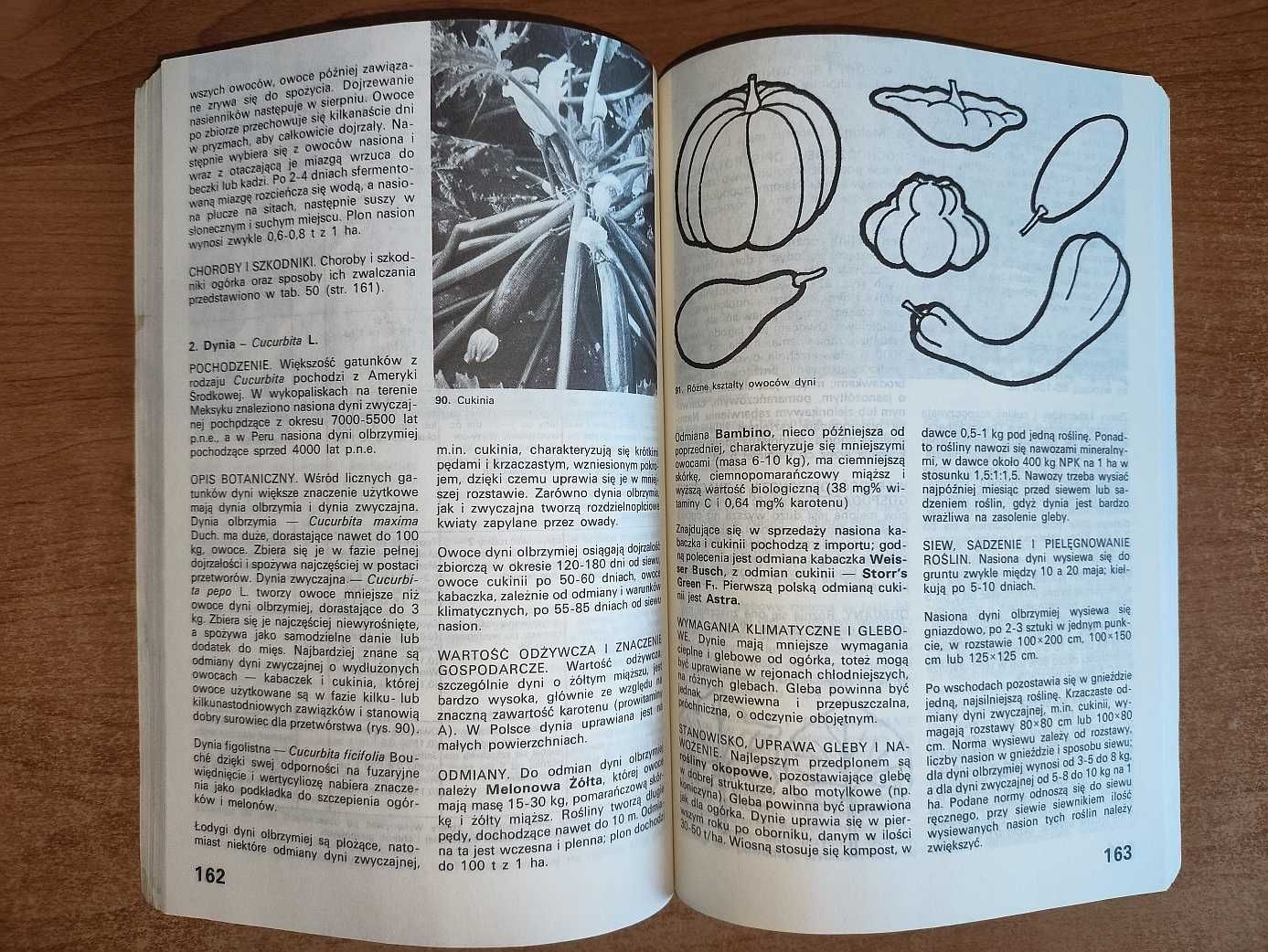 Warzywnictwo - Dobrakowska-Kopecka, Doruchowski, Gapiński (podręcznik)