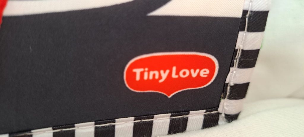 Książeczka Tiny Love i Disney Bayby oraz gryzak Canpol