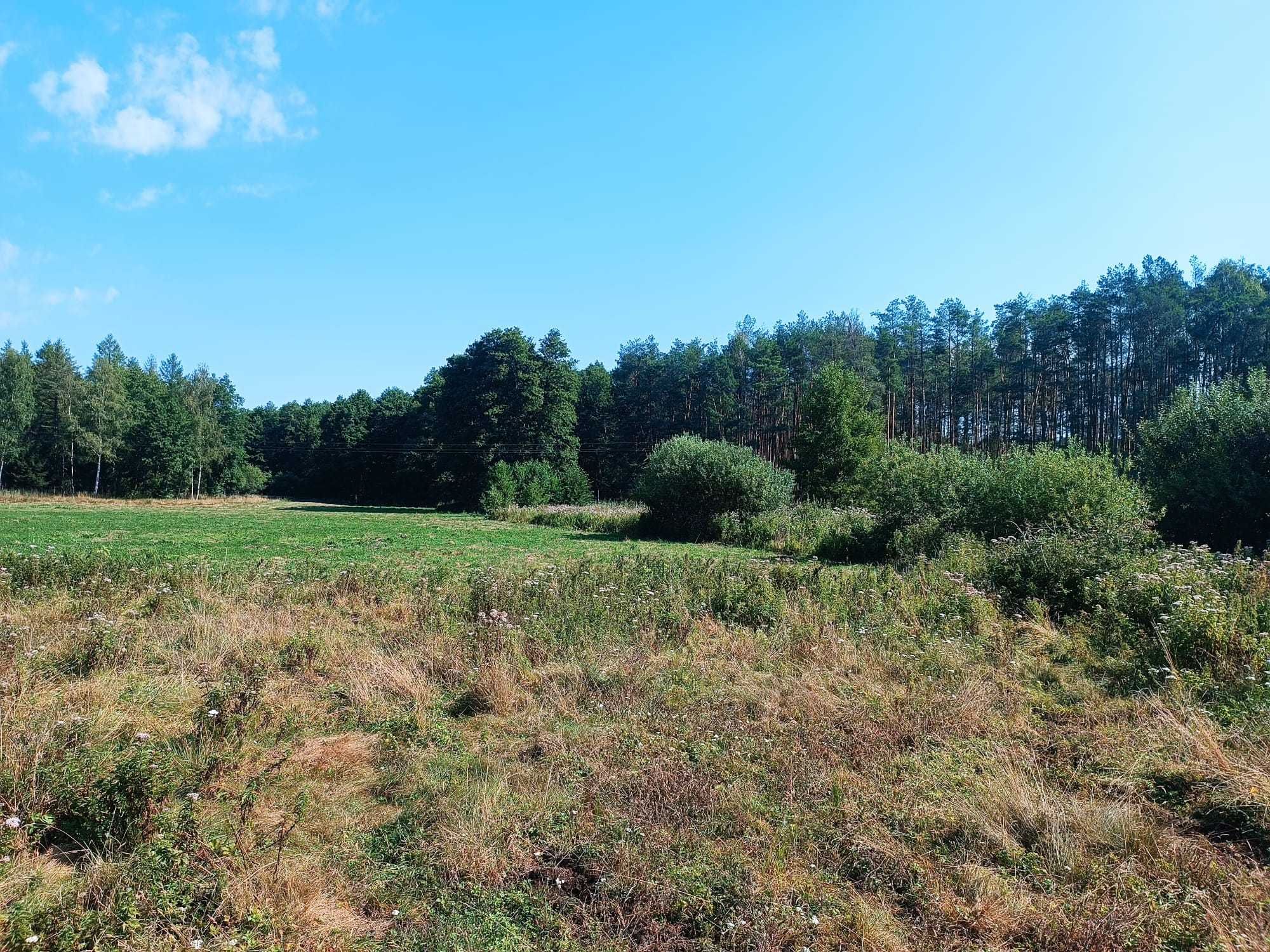 Ziemia rolna / Las - Miedzichowo - Silna Nowa, Trzciel - 9ha