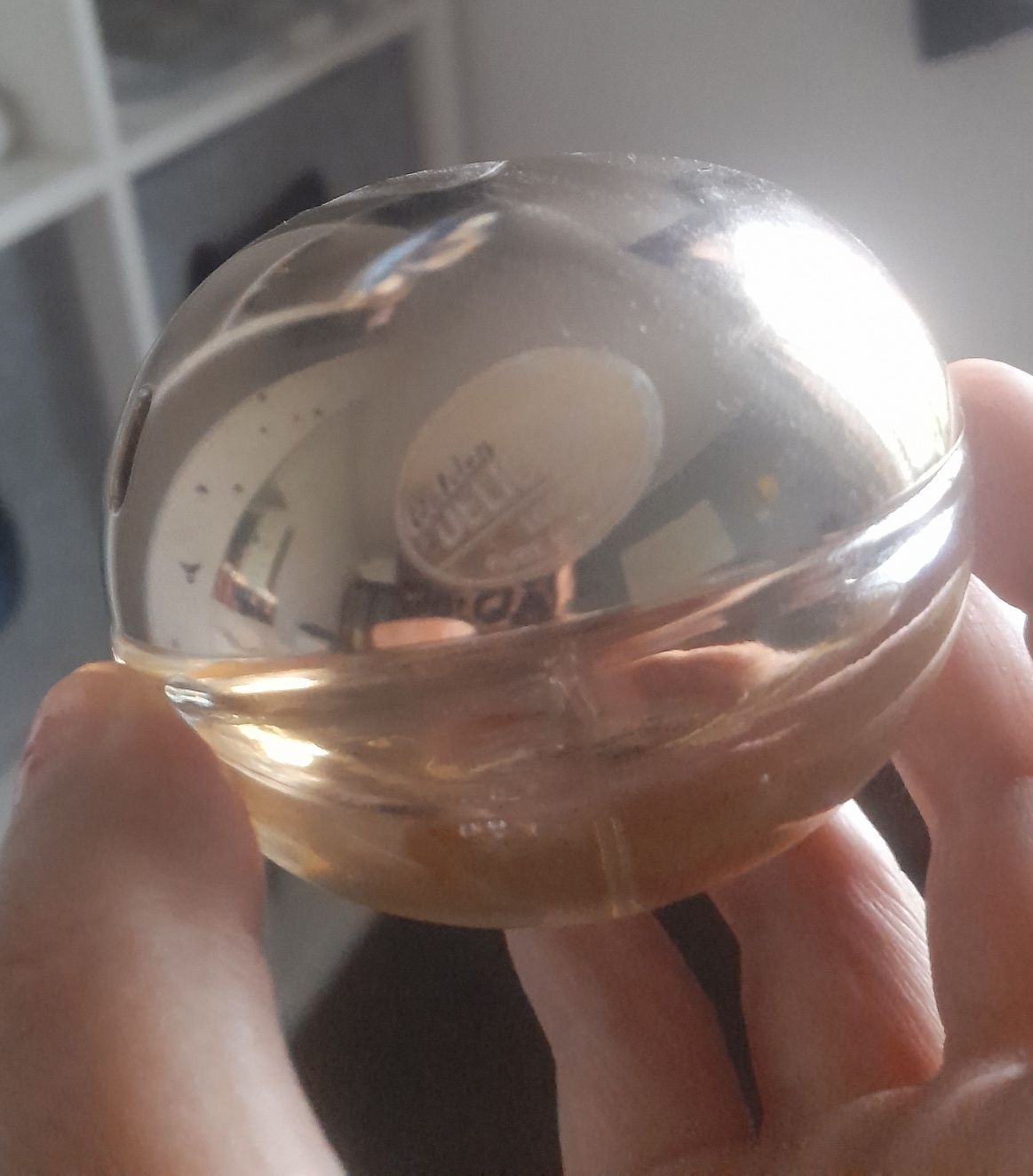 Dkny golden novo