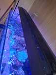 Lampa Maxspect RSX 5 300w akwarium morskie