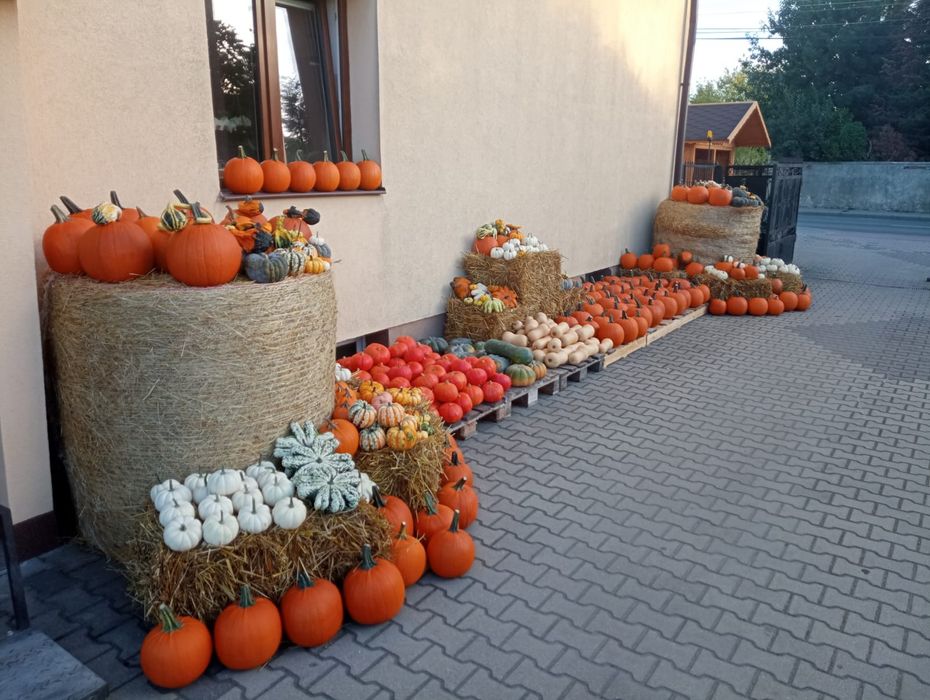 Dynie Hokkaido Muscat Halloween Piżmowa Ozdobne Warzywa Słoma Raszyn